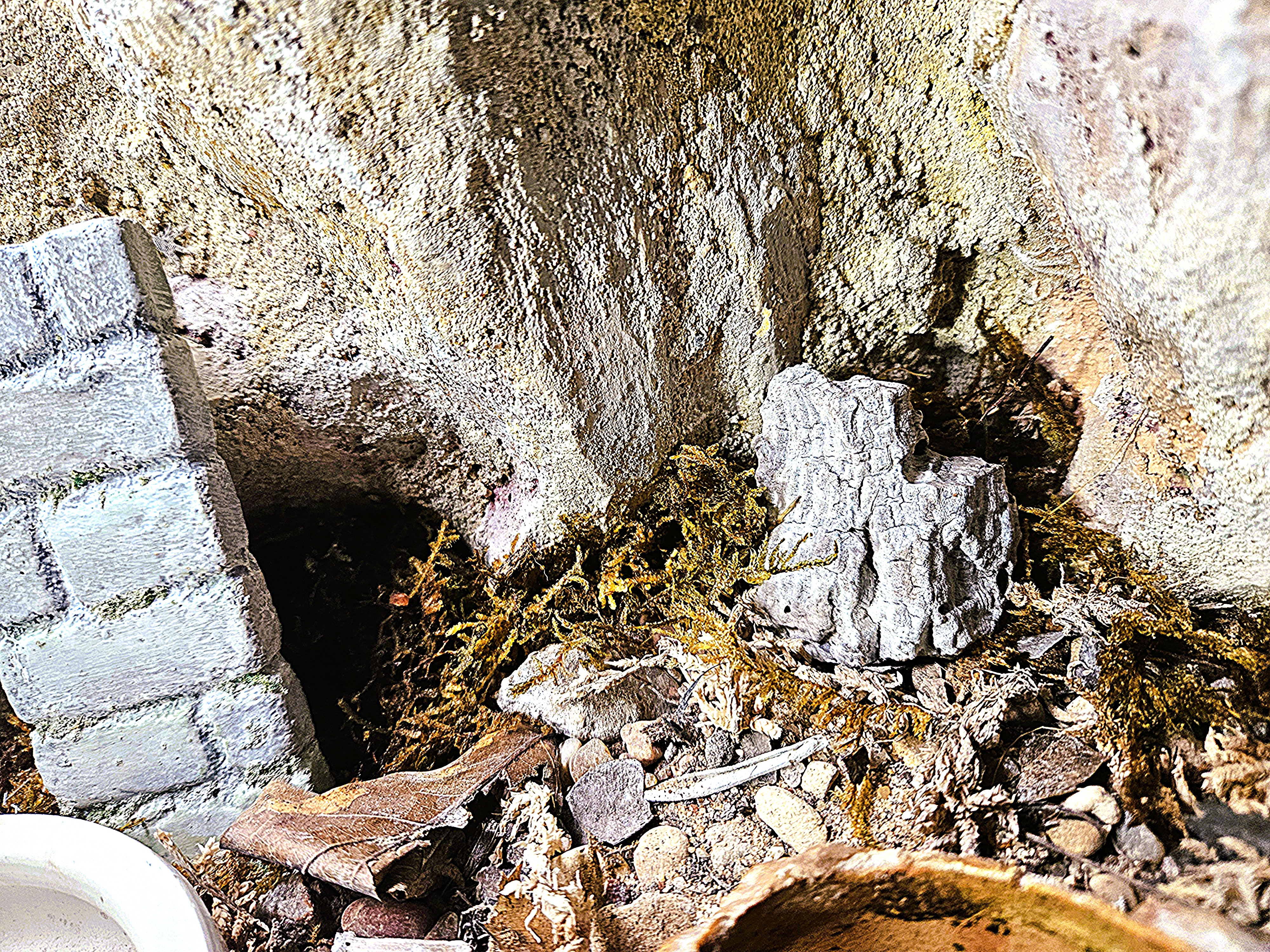 Bioactive substrate layers